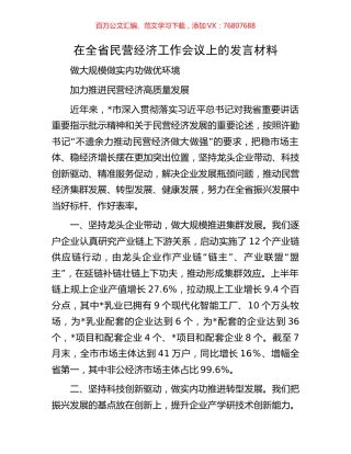 在全省民营经济工作会议上的发言材料.docx