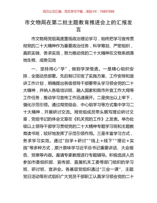 市文物局在第二批主题教育推进会上的汇报发言.docx