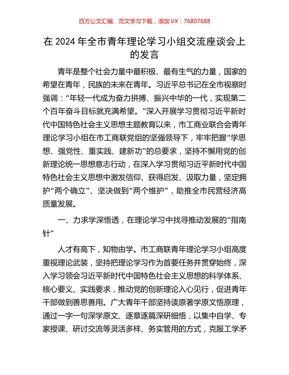 在2024年全市青年理论学习小组交流座谈会上的发言.docx_第1页