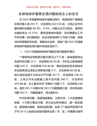 在耕地保护督察反馈问题检视会上的发言.docx