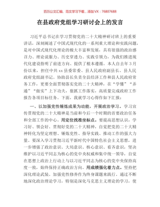 在县政府党组学习研讨会上的发言.docx