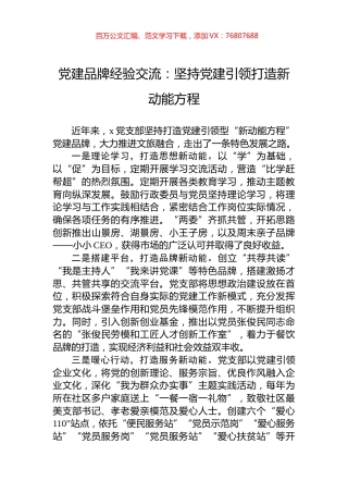 党建品牌经验交流：坚持党建引领打造新动能方程.docx