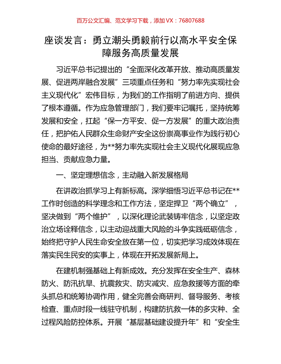 座谈发言：勇立潮头勇毅前行以高水平安全保障服务高质量发展.docx_第1页