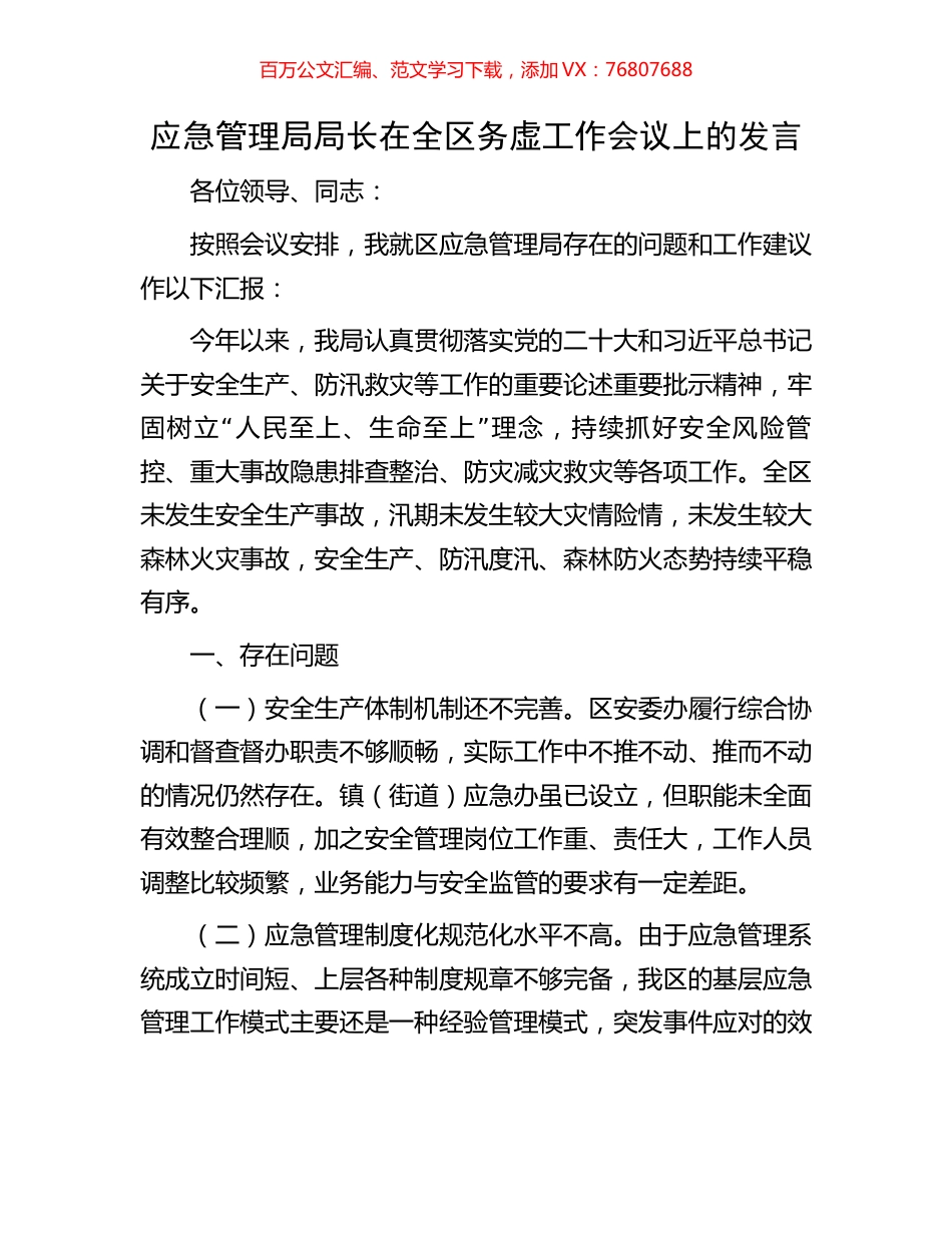 应急管理局局长在全区务虚工作会议上的发言.docx_第1页