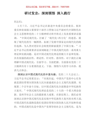 研讨发言：深刻领悟 深入践行.docx