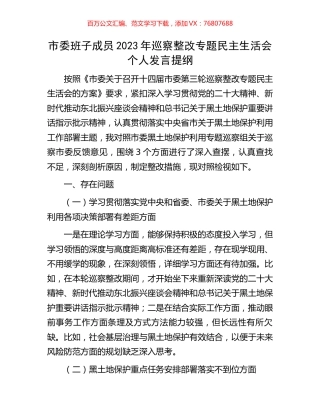 市委班子成员2023年巡察整改专题民主生活会个人发言提纲.docx