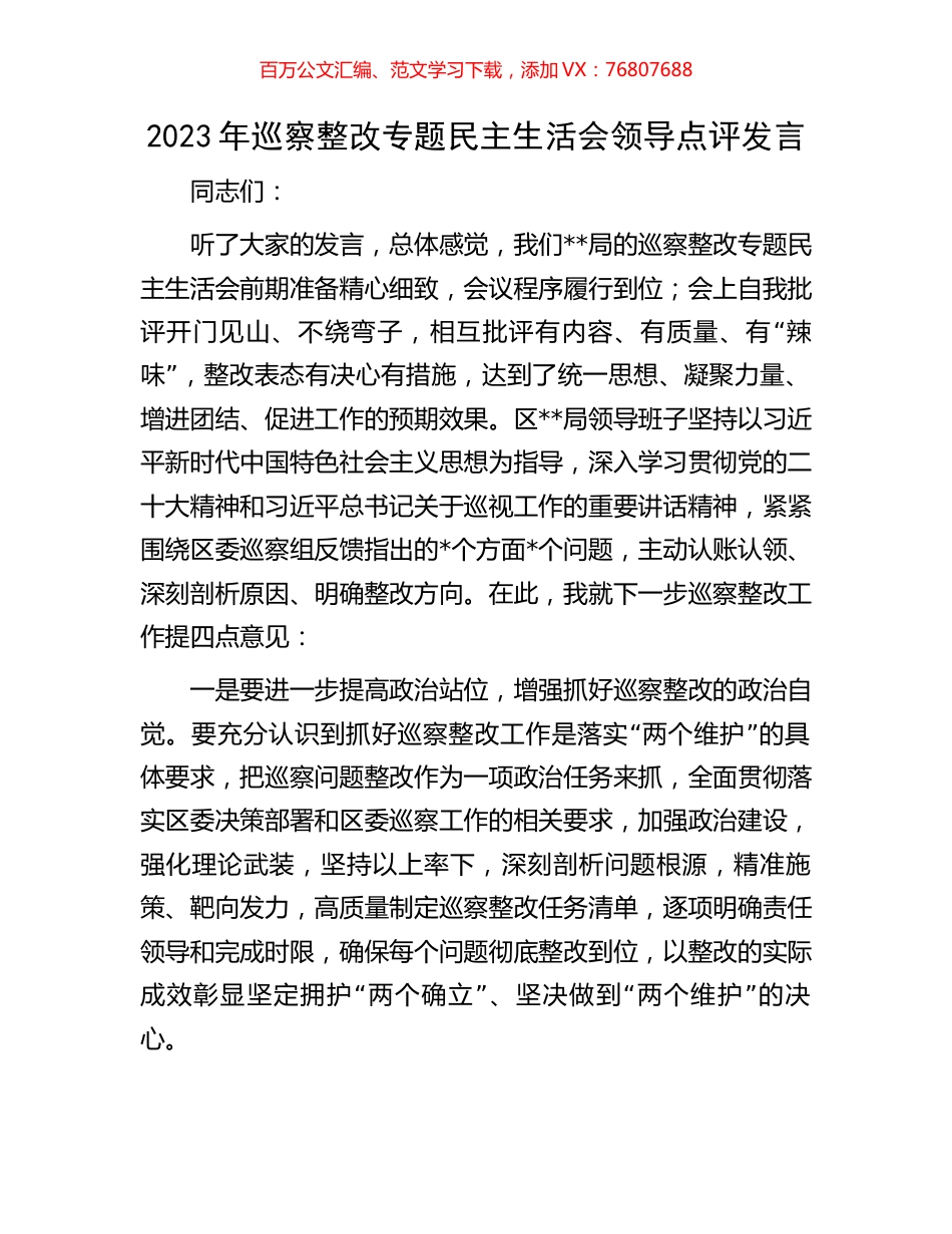 2023年巡察整改专题民主生活会领导点评发言.docx_第1页
