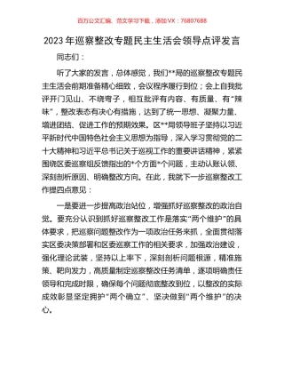 2023年巡察整改专题民主生活会领导点评发言.docx