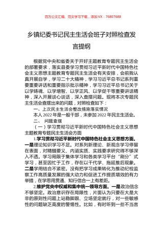 乡镇纪委书记民主生活会班子对照检查发言提纲.docx