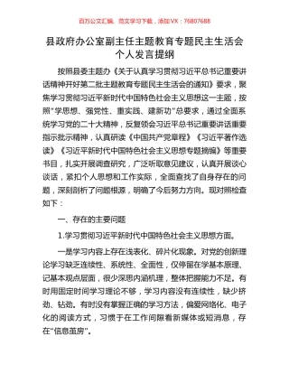 县政府办公室副主任主题教育专题民主生活会个人发言提纲.docx