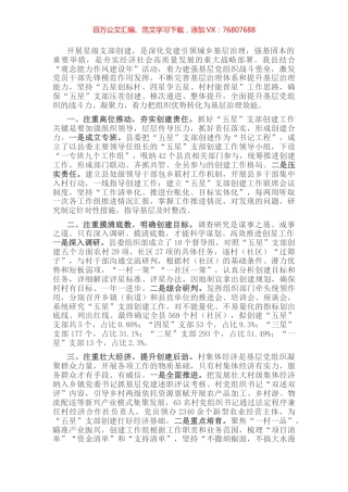 组织部长党支部建设座谈会发言提纲.docx