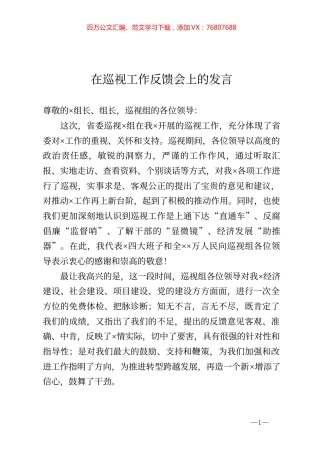 在巡视工作反馈会上的发言.docx
