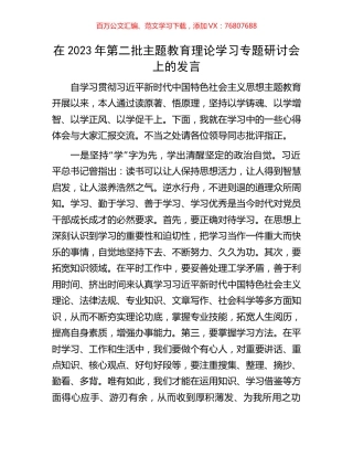 在2023年第二批主题教育理论学习专题研讨会上的发言.docx