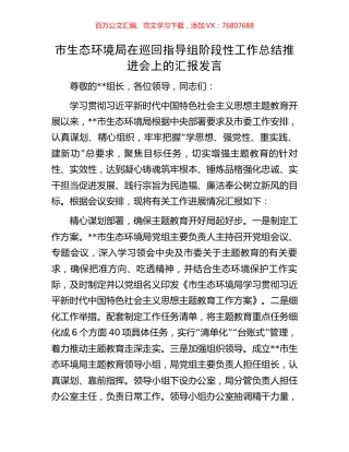 市生态环境局在巡回指导组阶段性工作总结推进会上的汇报发言.docx