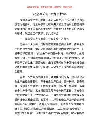 安全生产研讨发言材料.docx
