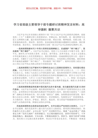 学习省部级主要领导干部专题研讨班精神发言材料：高举旗帜 凝聚共识.docx