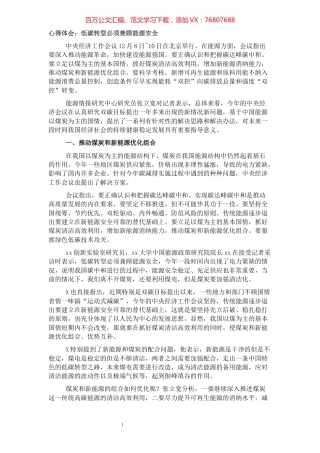 研讨发言：低碳转型必须兼顾能源安全.docx