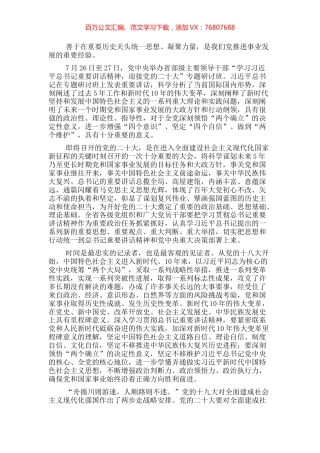 研讨发言：奠定重要政治基础思想基础理论基础.docx