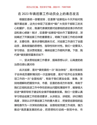 在2023年镇巡察工作动员会上的表态发言.docx