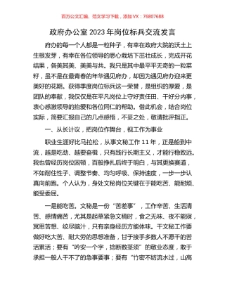 政府办公室2023年岗位标兵交流发言.docx