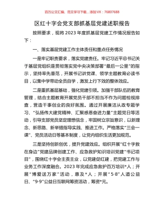 区红十字会党支部抓基层党建述职报告.docx