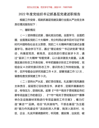 2022年度党组织书记抓基层党建述职报告.docx