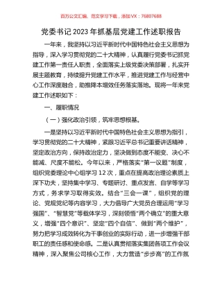 党委书记2023年抓基层党建工作述职报告.docx