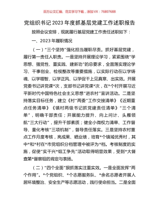 党组织书记2023年度抓基层党建工作述职报告.docx