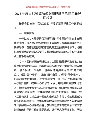 2023年度自然资源和规划局抓基层党建工作述职报告.docx