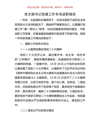 党支部书记党建工作专项述职报告.docx