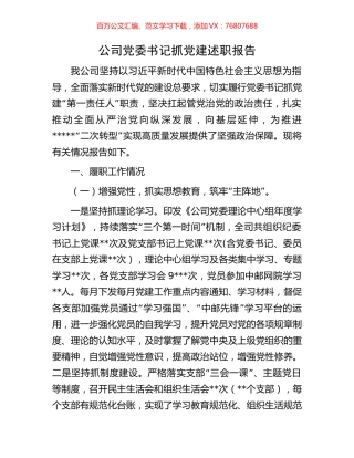 公司党委书记抓党建述职报告.docx