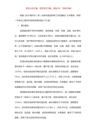 河长制述职报告.docx