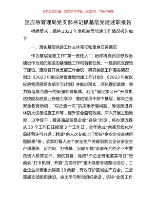 区应急管理局党支部书记抓基层党建述职报告.docx