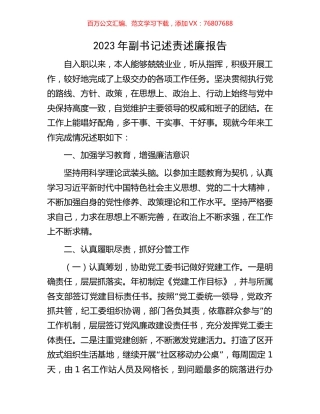 2023年副书记述责述廉报告.docx