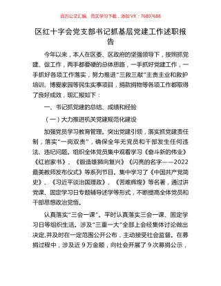 区红十字会党支部书记抓基层党建工作述职报告.docx
