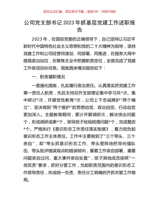 公司党支部书记2023年抓基层党建工作述职报告.docx