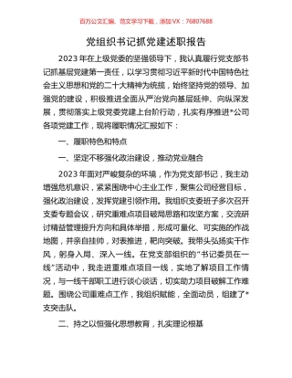 党组织书记抓党建述职报告.docx