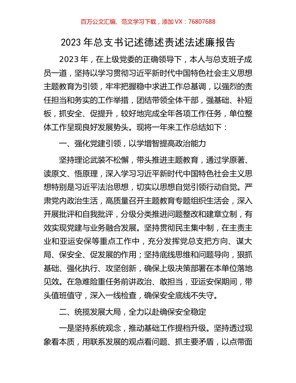 2023年总支书记述德述责述法述廉报告.docx_第1页