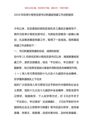 2019年区审计局党支部书记抓基层党建工作述职报告.docx