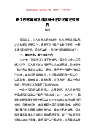 张辉：市生态环境局党组副局长述职述廉述效报告.docx