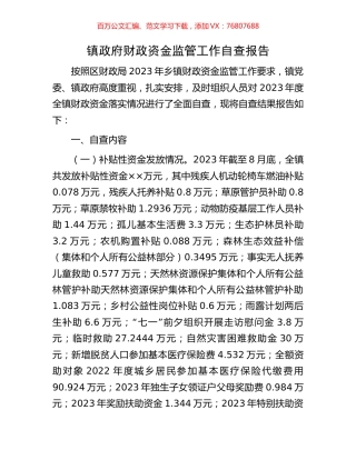 镇政府财政资金监管工作自查报告.docx