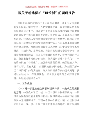 区关于耕地保护“田长制”的调研报告.docx