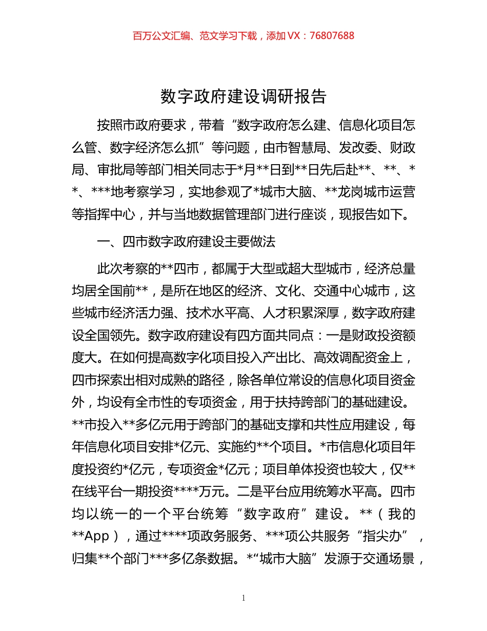 -数字政府建设调研报告.docx_第1页