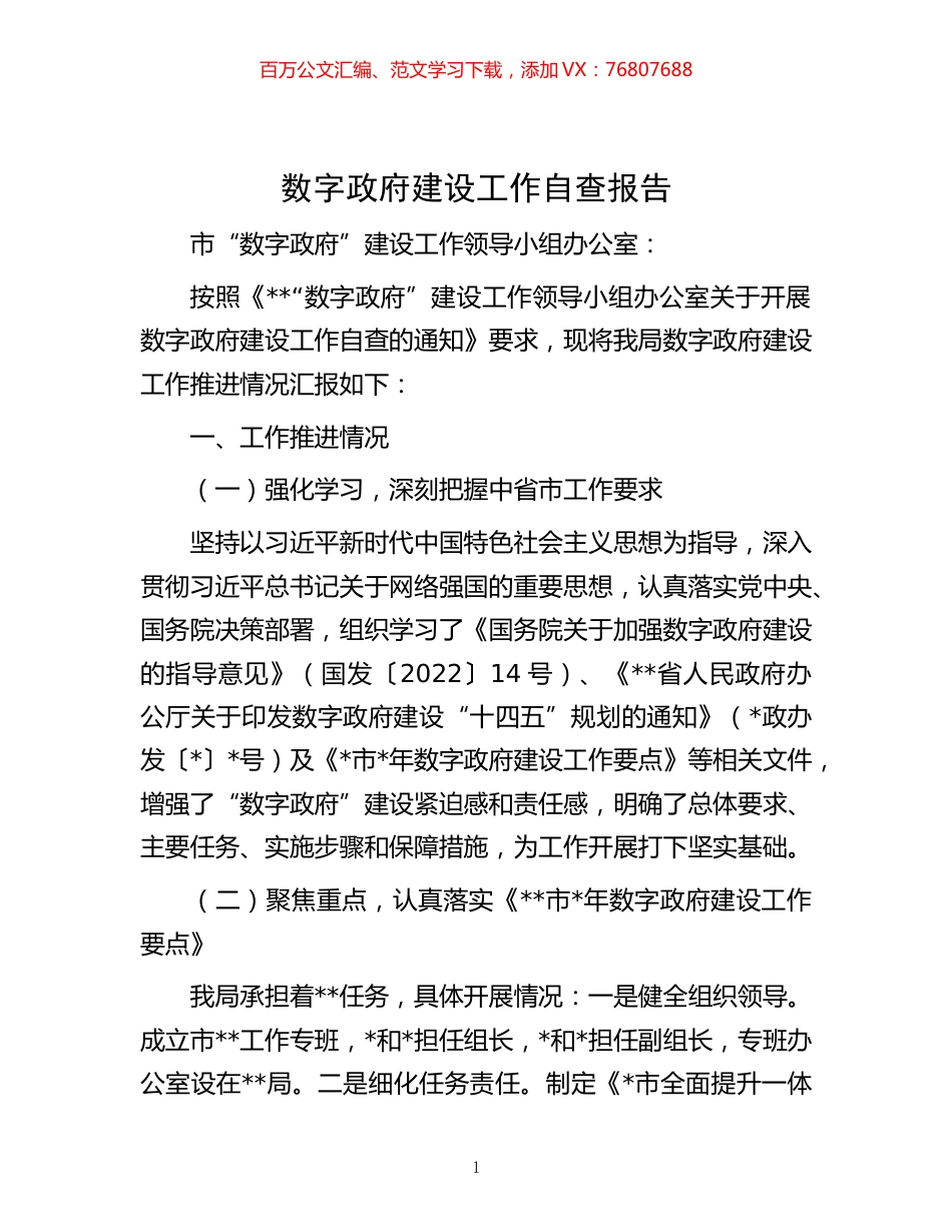 数字政府建设工作自查报告.docx_第1页