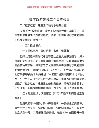 数字政府建设工作自查报告.docx