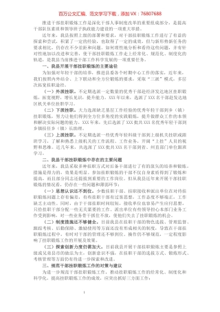 挂职干部工作调研报告.docx