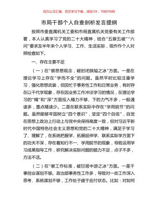 市局干部个人自查剖析发言提纲.docx