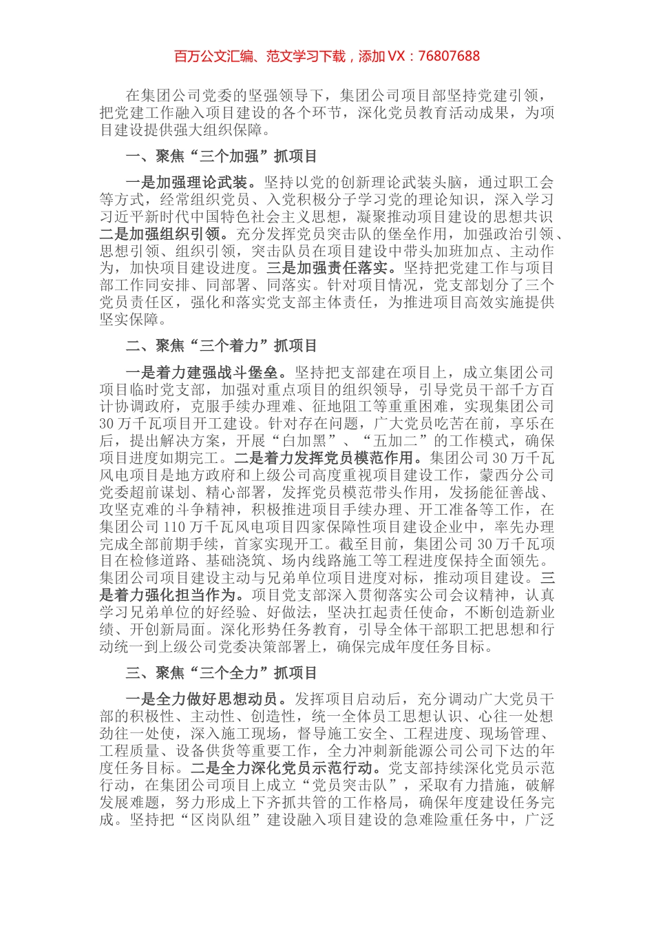 公司坚持党建引领抓项目建设发言材料.docx_第1页