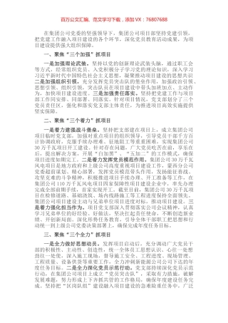 公司坚持党建引领抓项目建设发言材料.docx