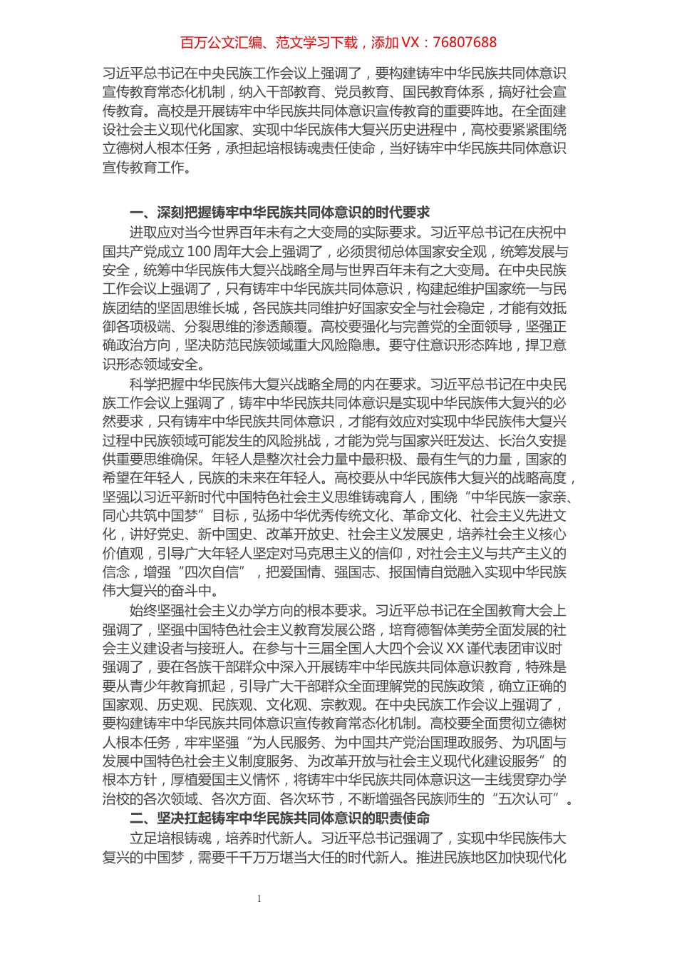 大学党委书记关于民族工作研讨发言材料.docx_第1页